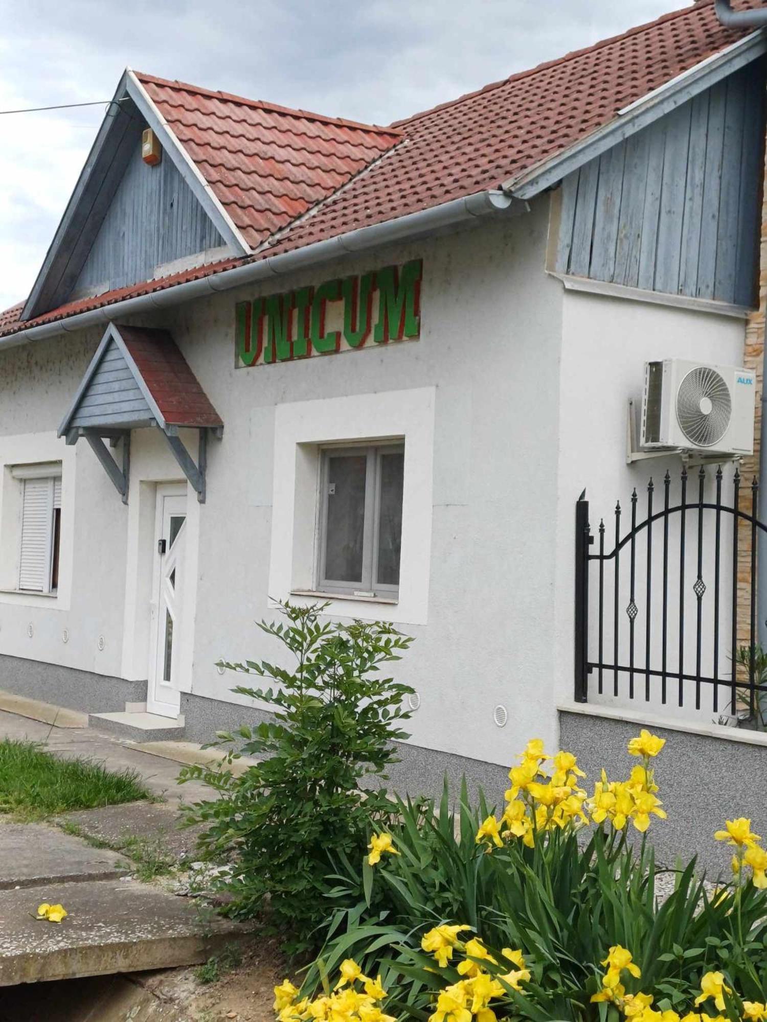 Unicum Vendégház Abádszalók Extérieur photo